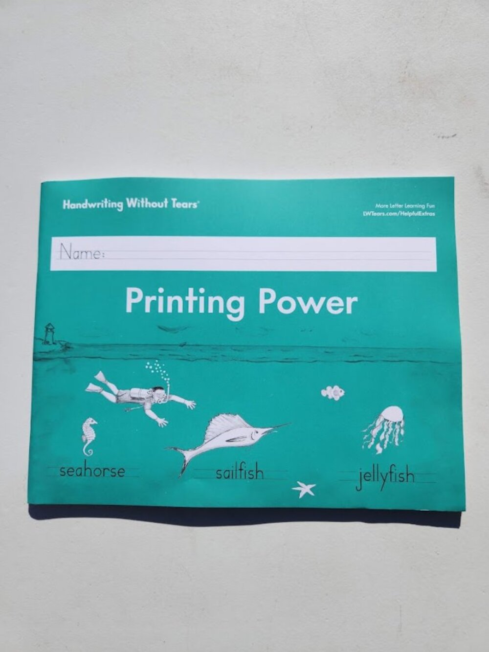 NEW Handwriting Without Tears Printing Power Workbook 2nd Grade Writing Student